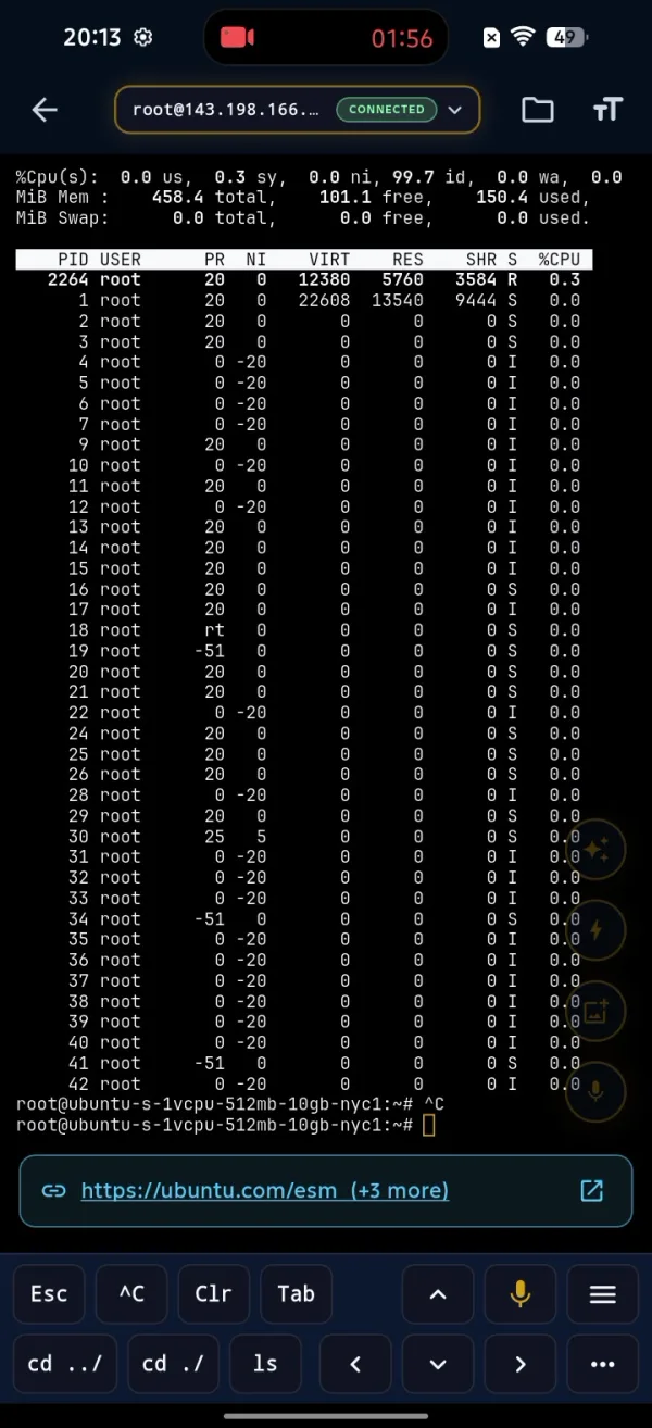 The ShellSage on screen Esc and Ctrl C keys used to stop a running command and return to a clean prompt.