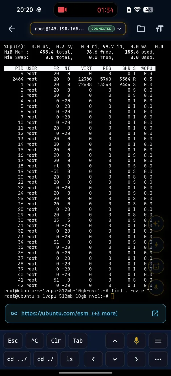 Tap a command and it runs instantly - here the live process viewer (top).